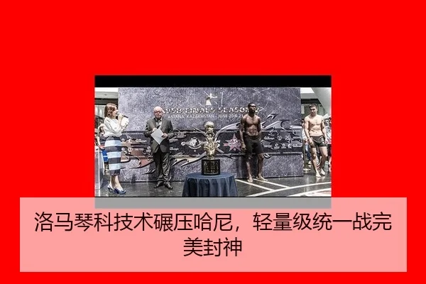 洛马琴科技术碾压哈尼，轻量级统一战完美封神